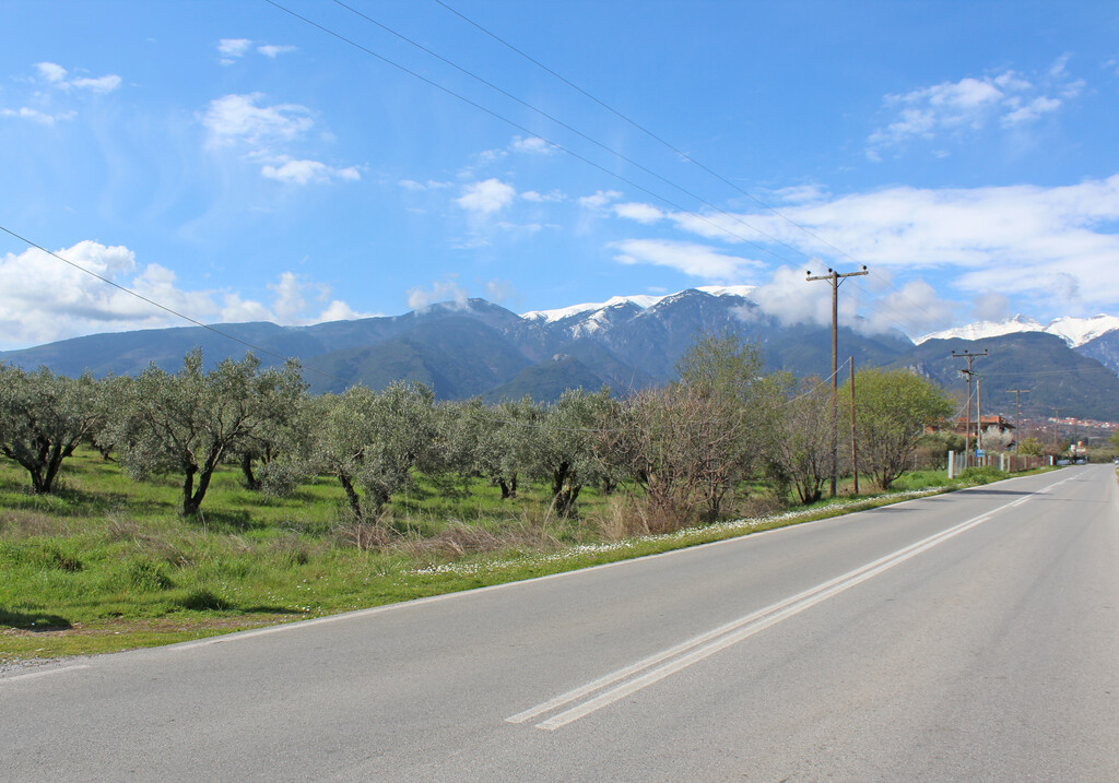 Land in Litochoro, Pieria Prefecture, Greece – GDOMV3