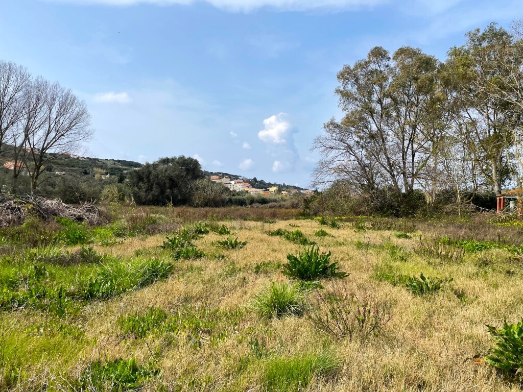 Land in Corfu, Corfu Prefecture, Greece – 65622