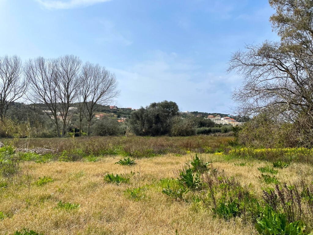Land in Corfu, Corfu Prefecture, Greece – 65622