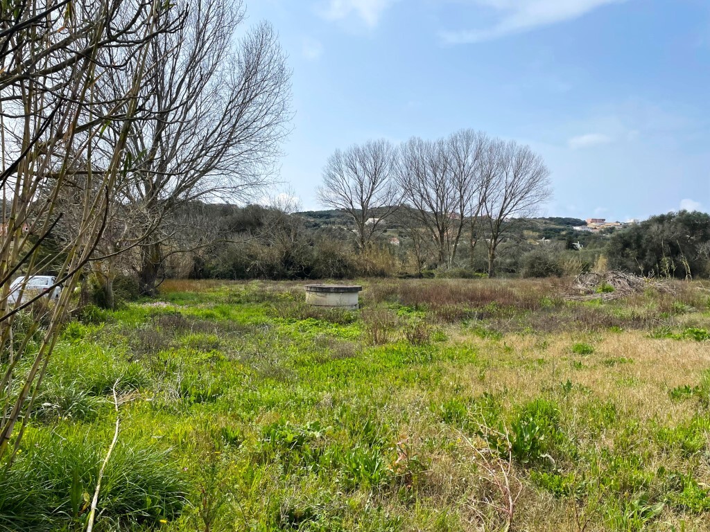 Land in Corfu, Corfu Prefecture, Greece – 65622