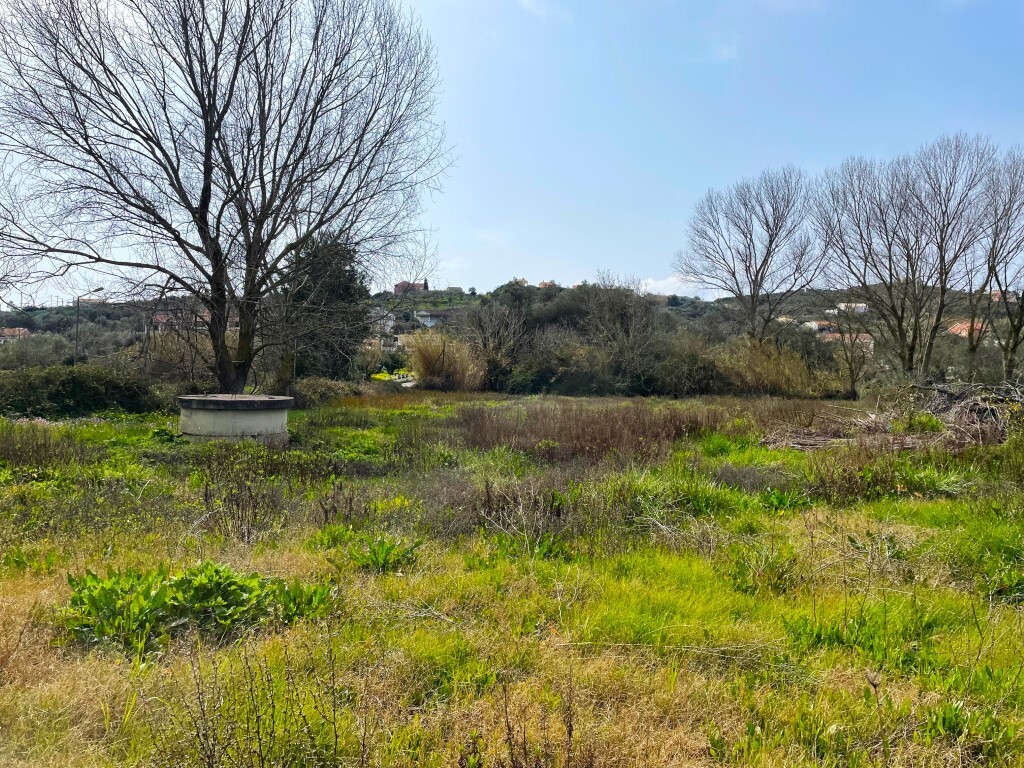 Land in Corfu, Corfu Prefecture, Greece – 65622
