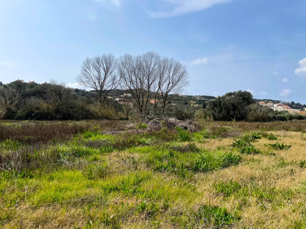 Land in Corfu, Corfu Prefecture, Greece – 65622