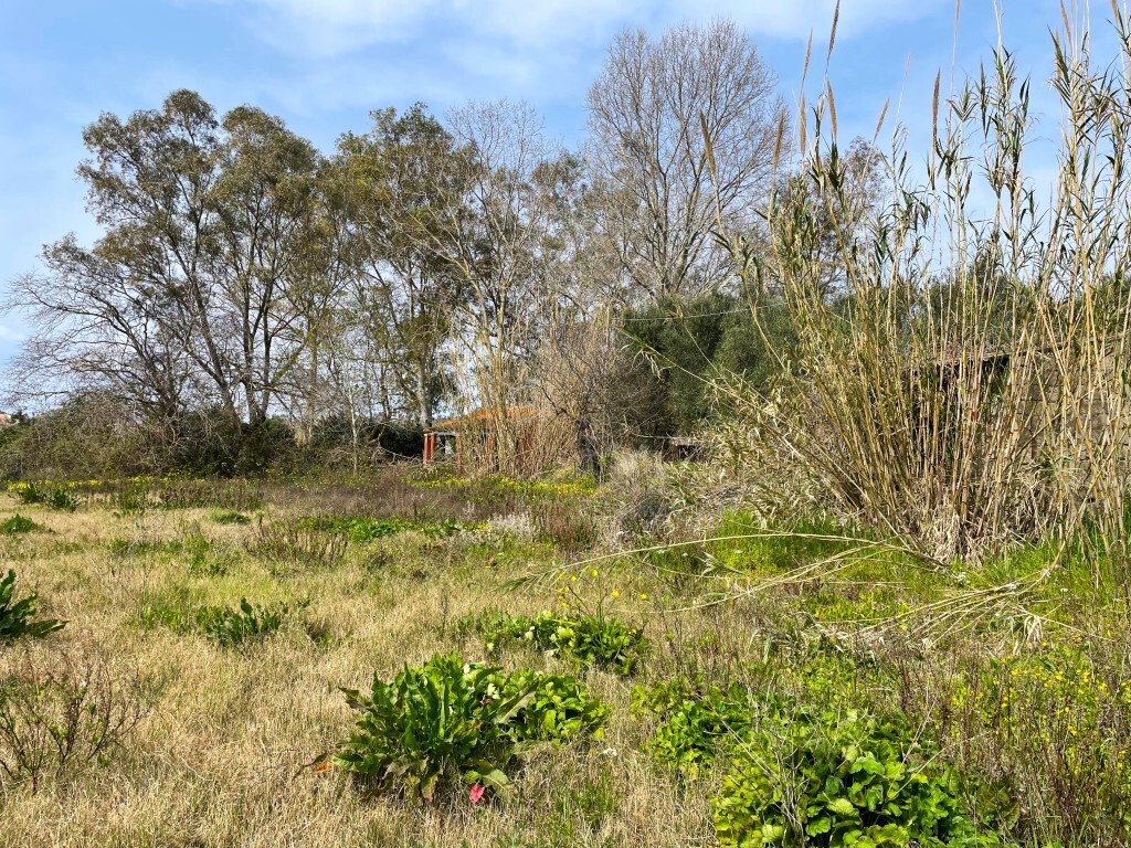 Land in Corfu, Corfu Prefecture, Greece – 65622