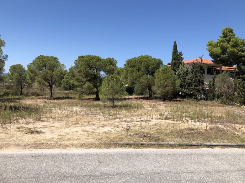 Land in Sithonia, Chalkidiki, Greece – GDOMV3