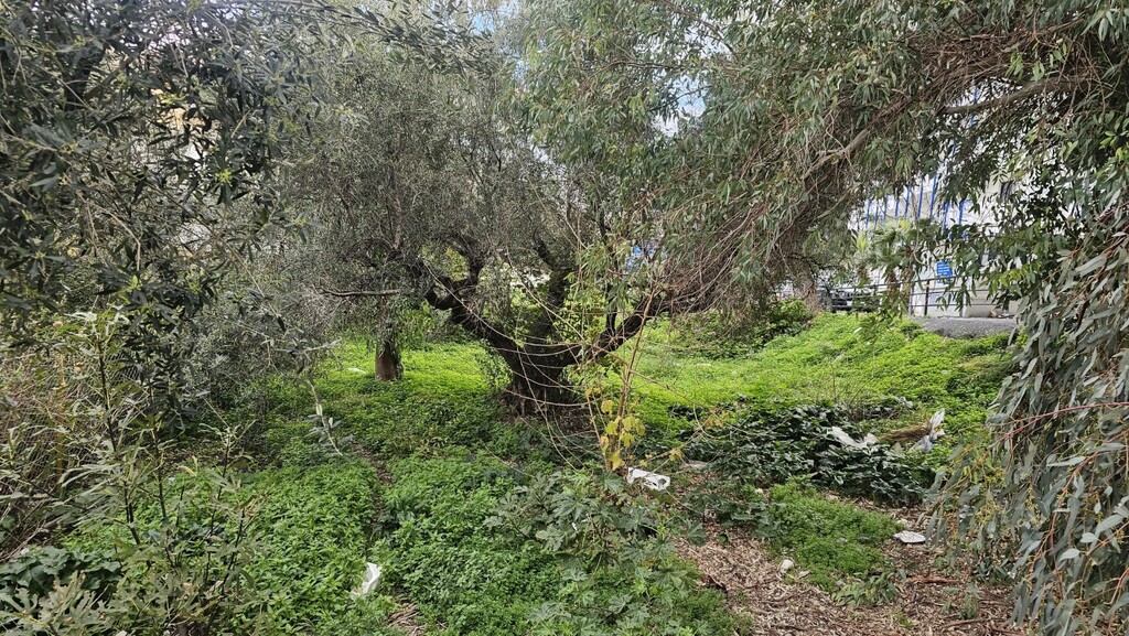 Land in Chersonisos, Heraklion Prefecture, Greece – GDOMV3