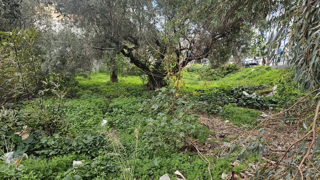 Land in Chersonisos, Heraklion Prefecture, Greece – GDOMV3