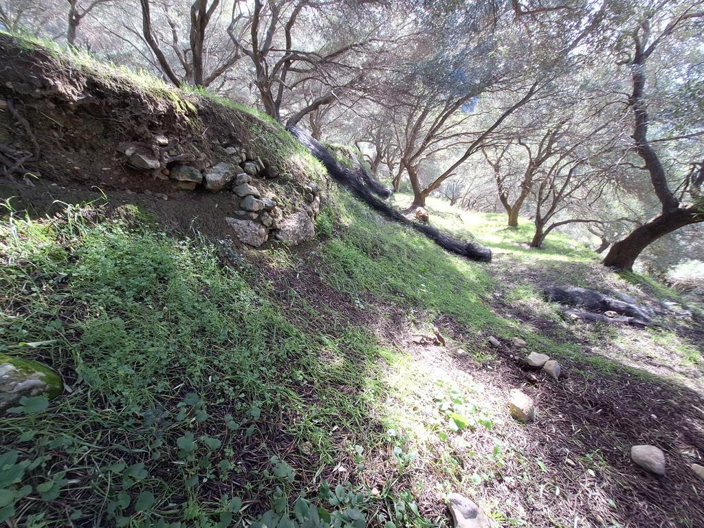 Land in Corfu, Corfu Prefecture, Greece – GDOMV3