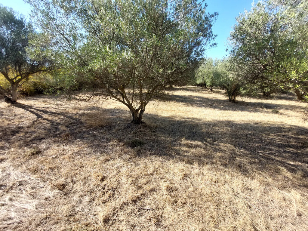Land in Vasilika, Thessaloniki – Suburbs, Greece – GDOMV3