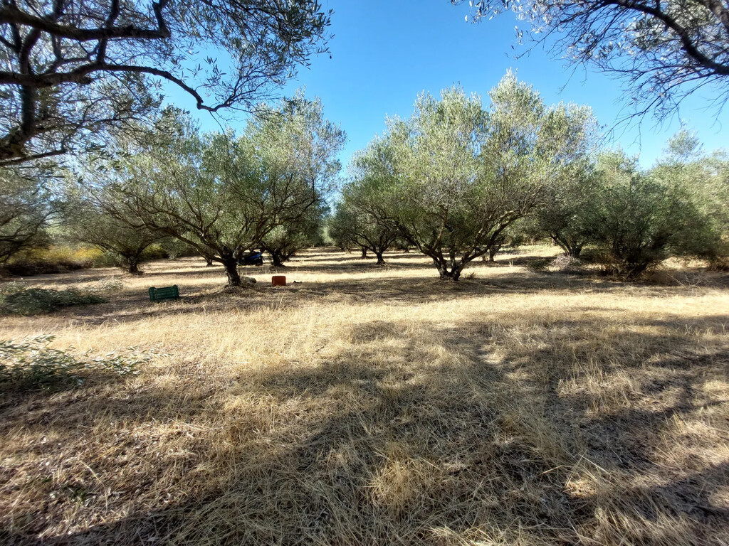 Land in Vasilika, Thessaloniki – Suburbs, Greece – 65514