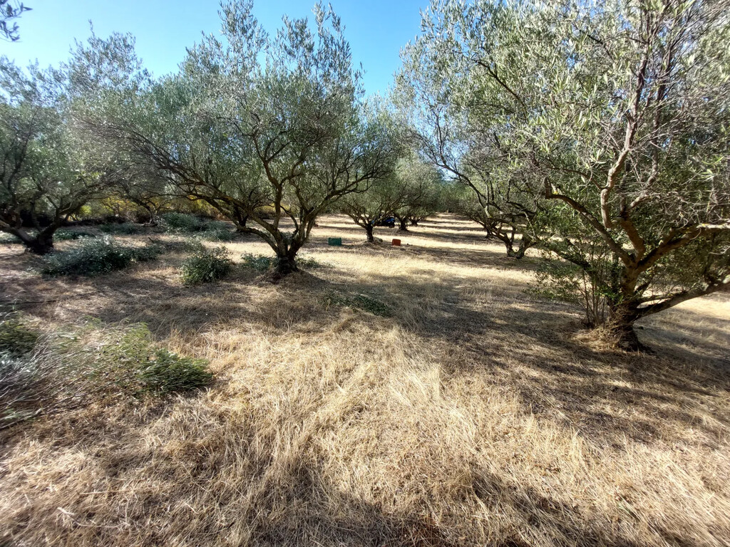 Land in Vasilika, Thessaloniki – Suburbs, Greece – 65514