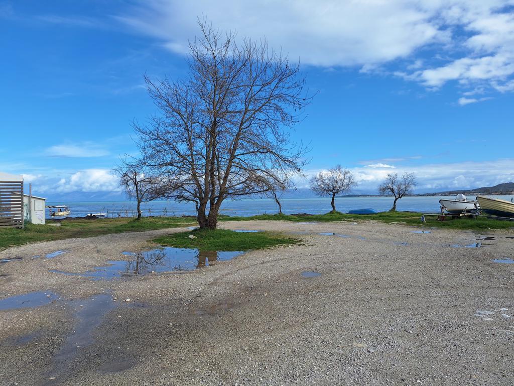 Land in Corfu, Corfu Prefecture, Greece – GDOMV3