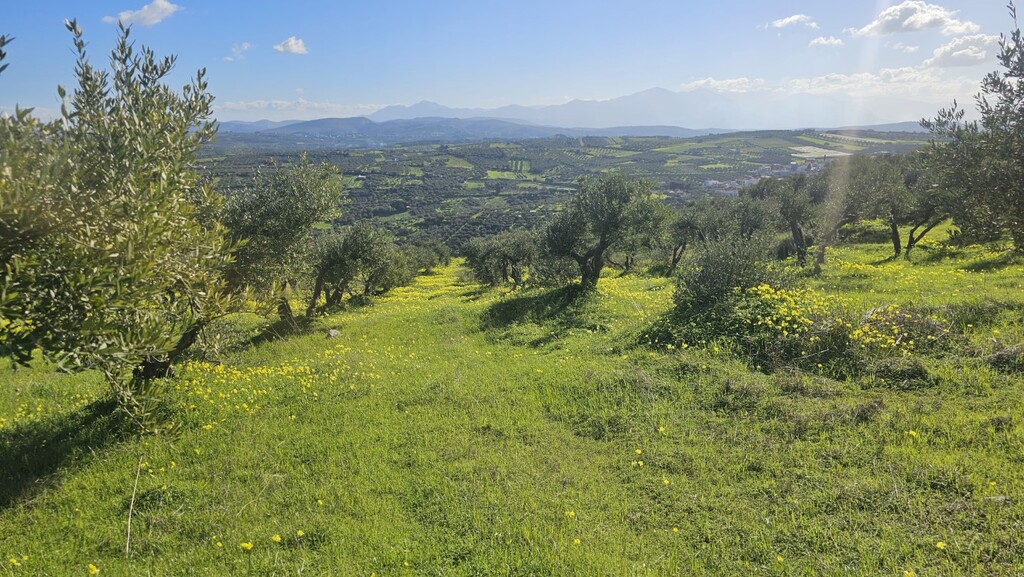Land in Archanes, Heraklion Prefecture, Greece – GDOMV3
