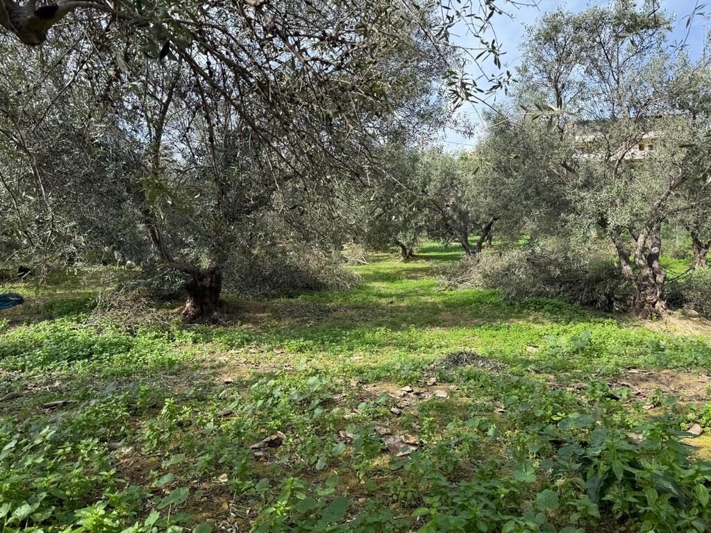 Land in Nea Kidonia, Chania Prefecture, Greece – GDOMV3