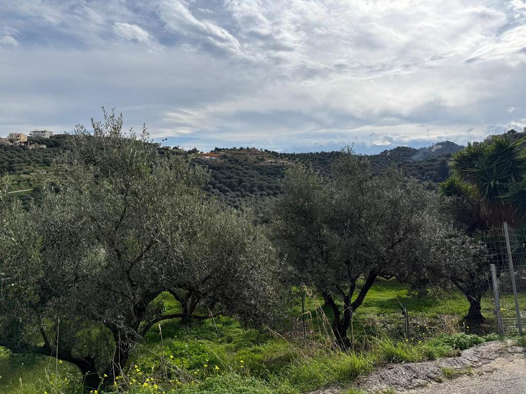 Land in Nea Kidonia, Chania Prefecture, Greece – 65485