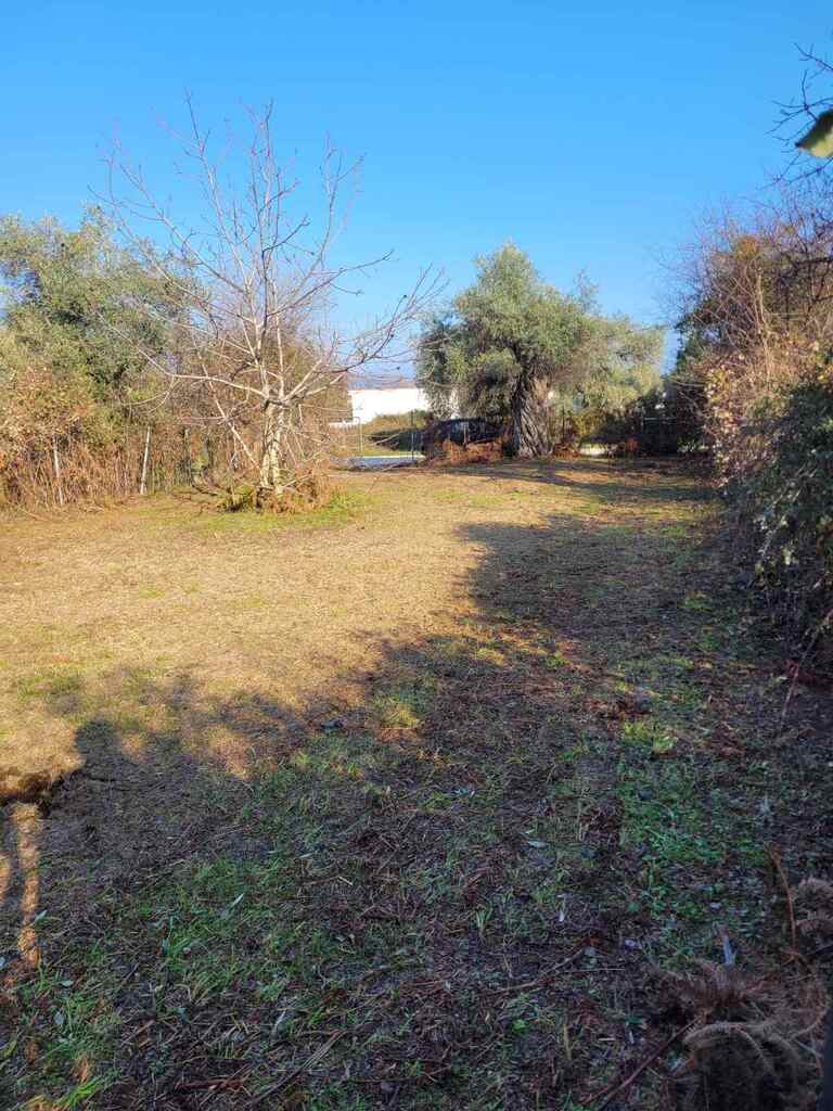 Land in Thasos, Kavala Prefecture, Greece – GDOMV3