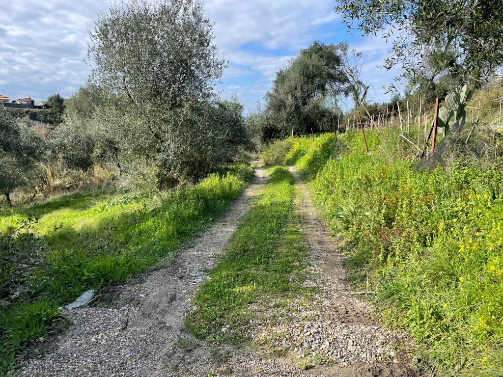 Land in Corfu, Corfu Prefecture, Greece – 65467
