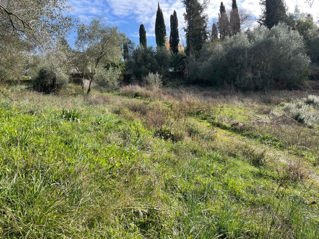 Land in Corfu, Corfu Prefecture, Greece – 65467