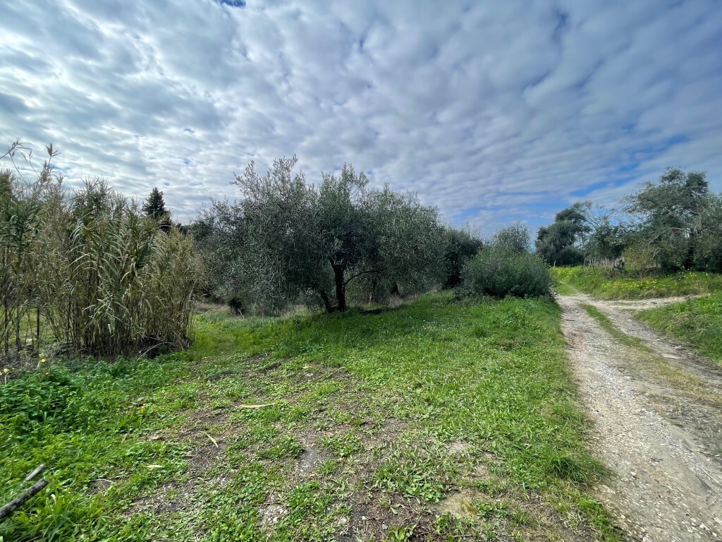 Land in Corfu, Corfu Prefecture, Greece – 65467