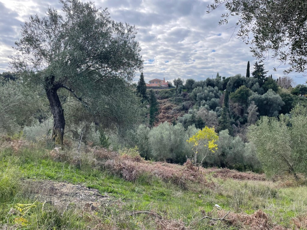 Land in Corfu, Corfu Prefecture, Greece – 65467