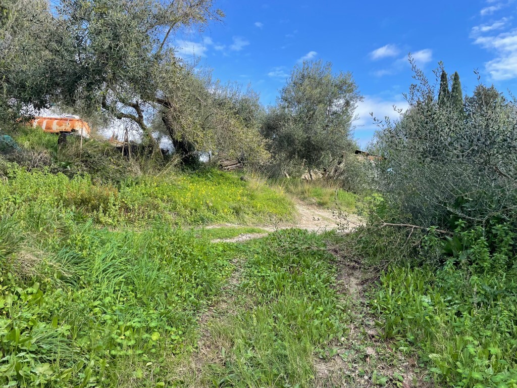 Land in Corfu, Corfu Prefecture, Greece – 65467