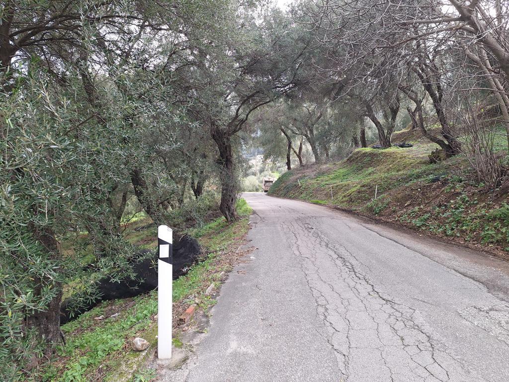 Land in Corfu, Corfu Prefecture, Greece – GDOMV3