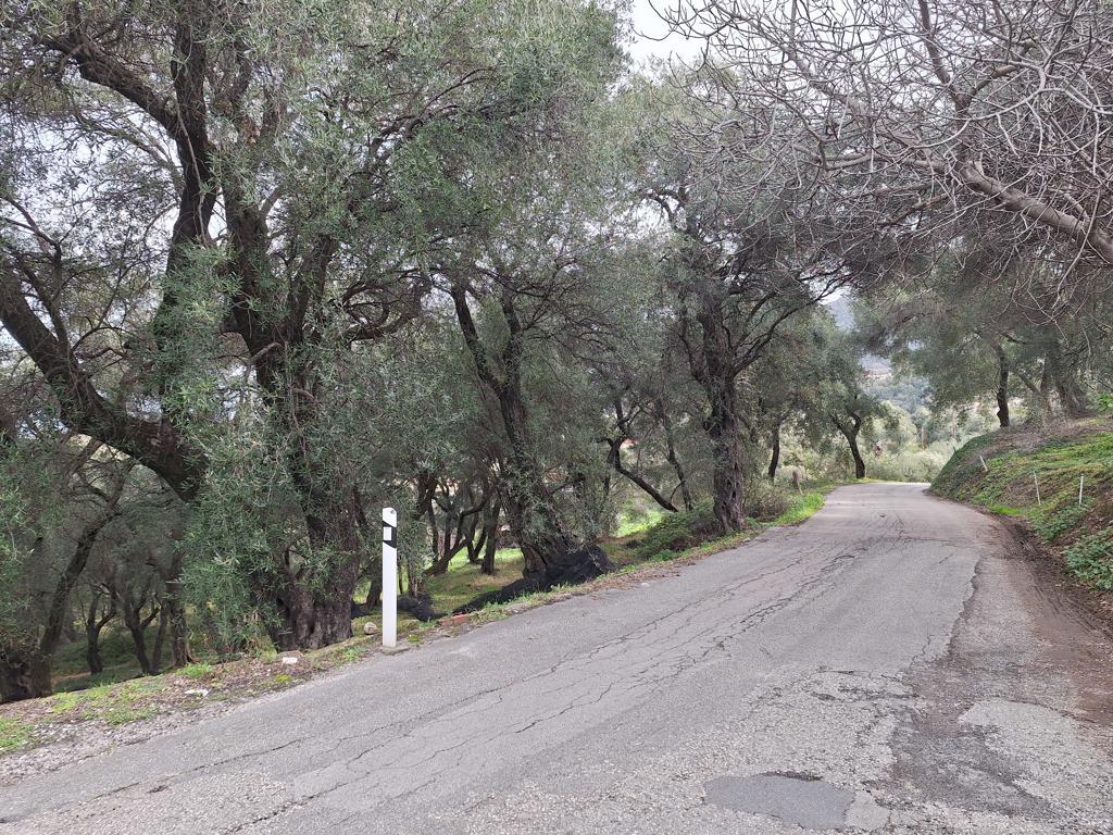 Land in Corfu, Corfu Prefecture, Greece – GDOMV3
