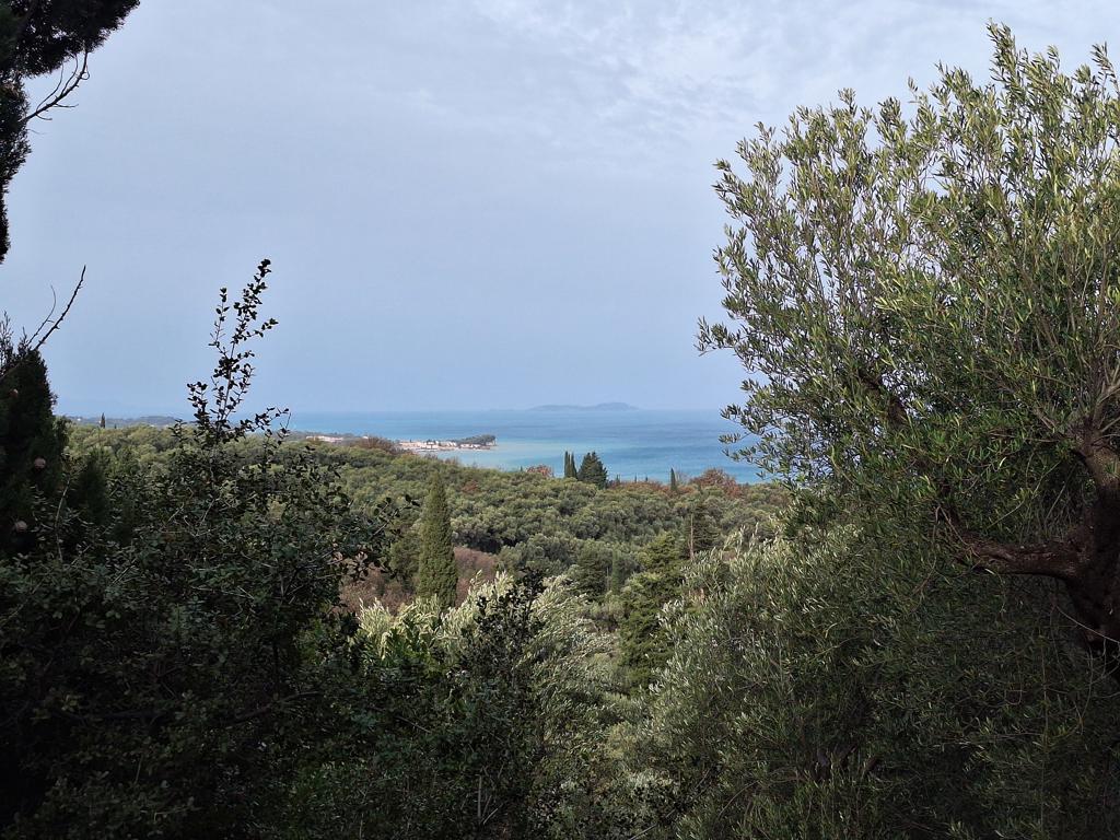 Land in Corfu, Corfu Prefecture, Greece – GDOMV3
