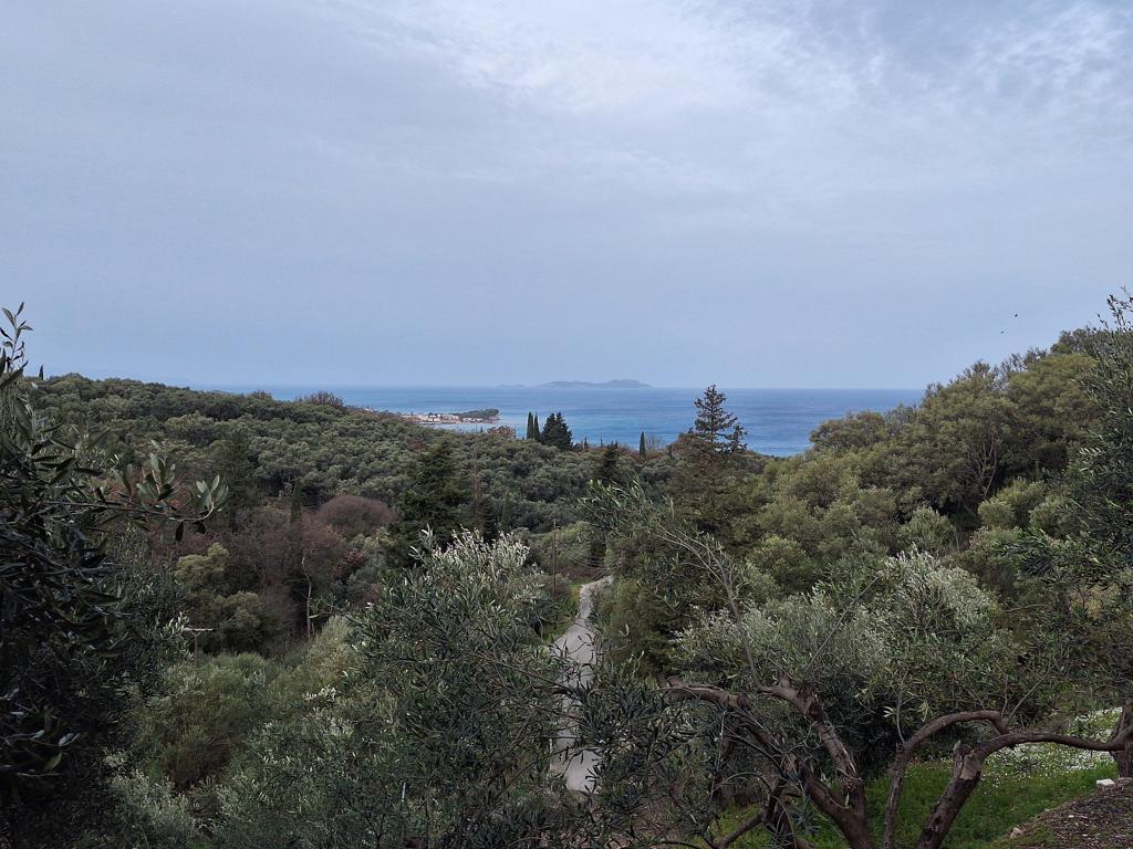 Land in Corfu, Corfu Prefecture, Greece – GDOMV3