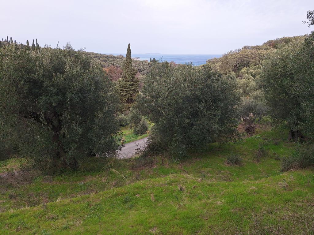 Land in Corfu, Corfu Prefecture, Greece – GDOMV3