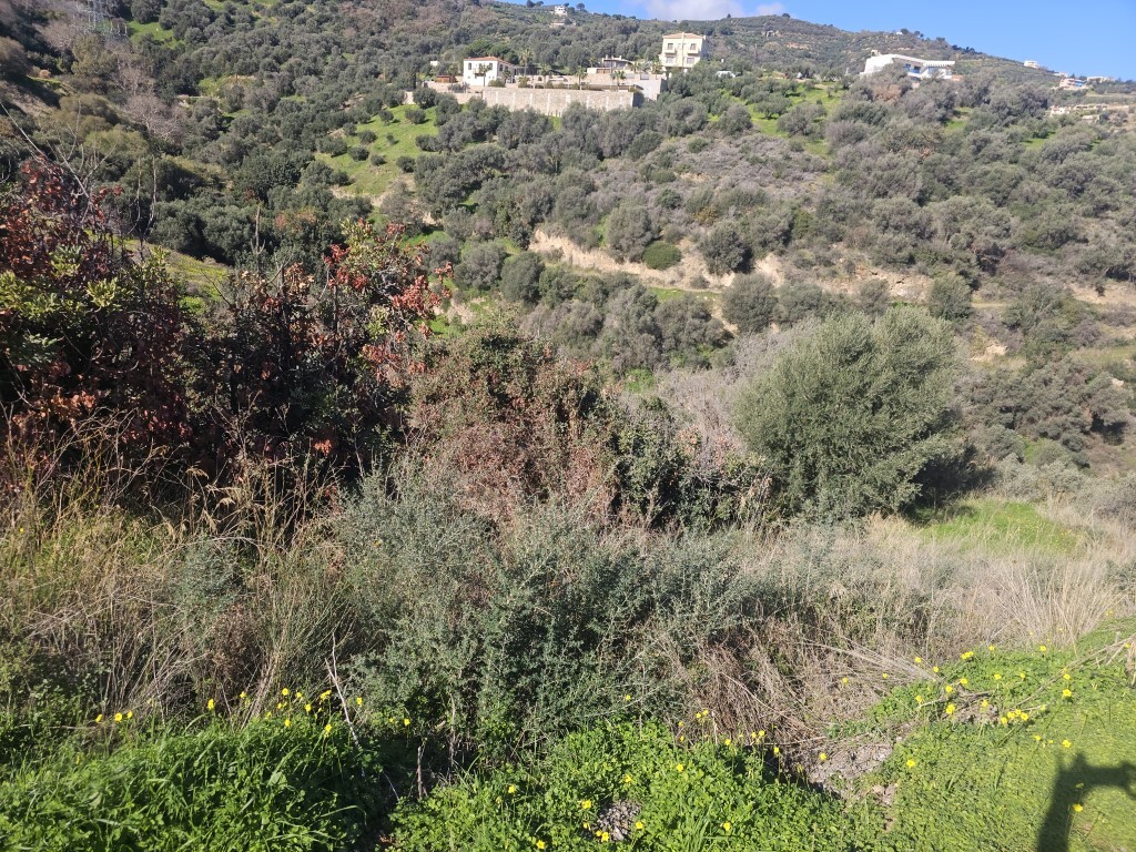 Land in Gazi, Heraklion Prefecture, Greece – 65423