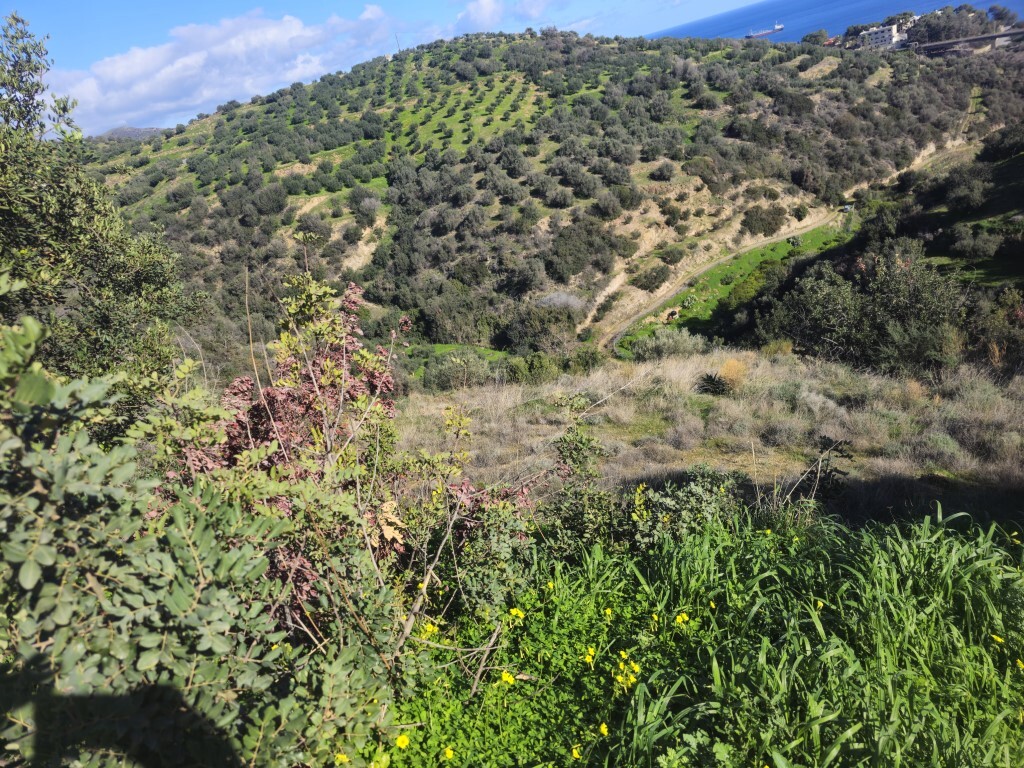 Land in Gazi, Heraklion Prefecture, Greece – 65423