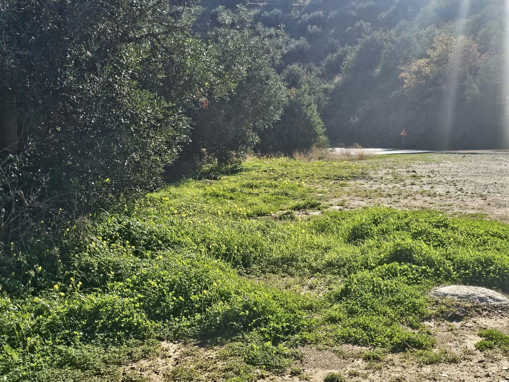 Land in Gazi, Heraklion Prefecture, Greece – 65423
