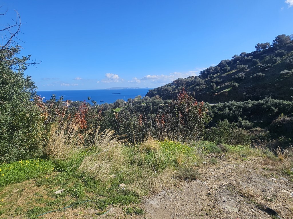 Land in Gazi, Heraklion Prefecture, Greece – 65423
