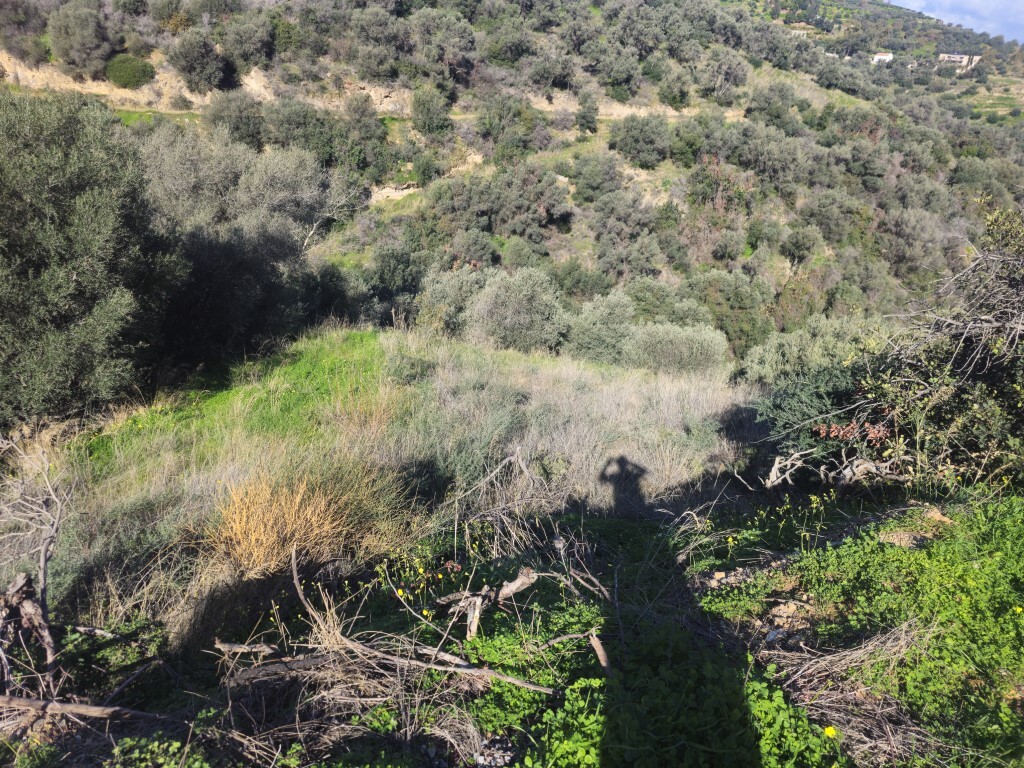 Land in Gazi, Heraklion Prefecture, Greece – 65423