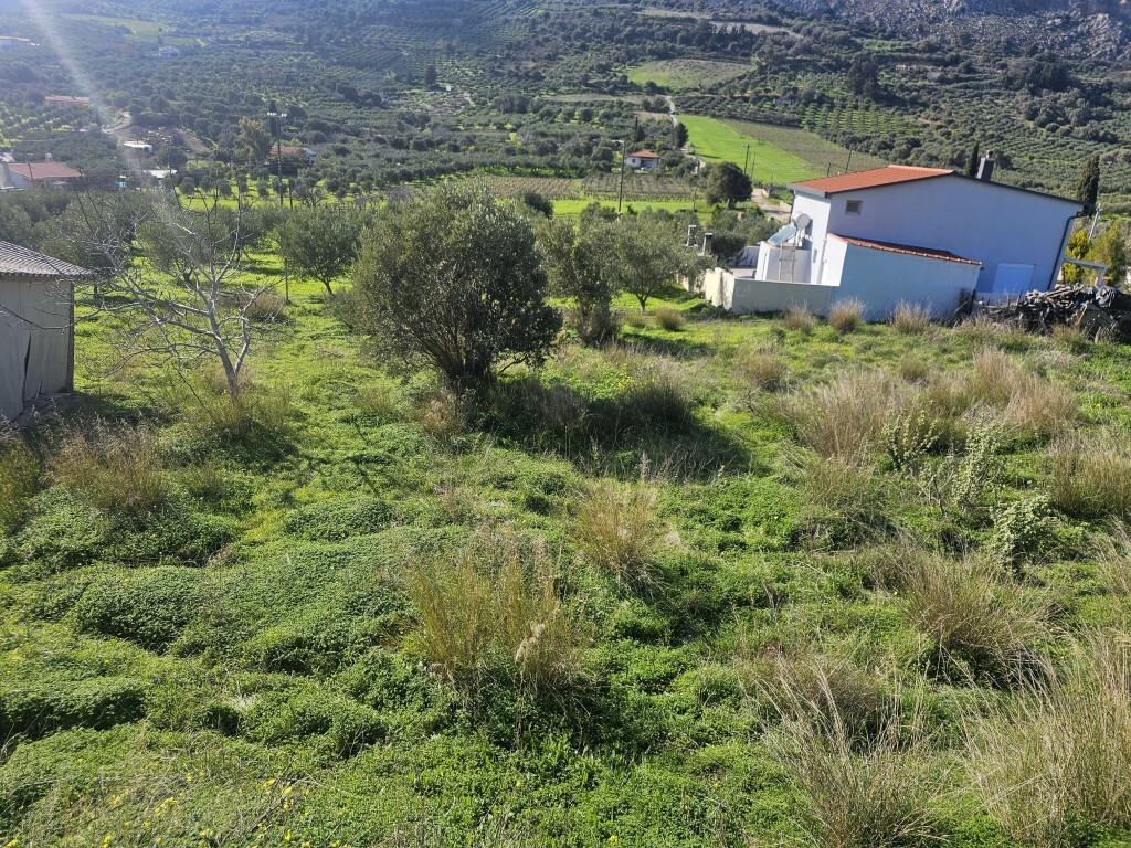 Land in Tetrachori, Heraklion Prefecture, Greece – GDOMV3