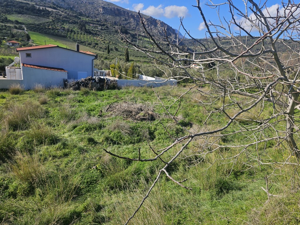 Land in Tetrachori, Heraklion Prefecture, Greece – 65413