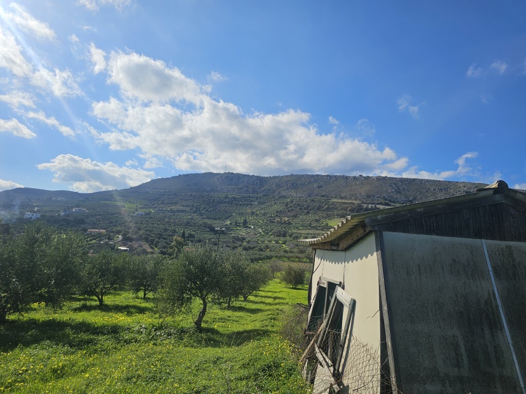 Land in Tetrachori, Heraklion Prefecture, Greece – 65413