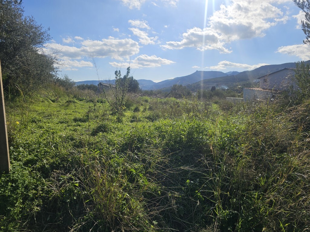 Land in Tetrachori, Heraklion Prefecture, Greece – 65413