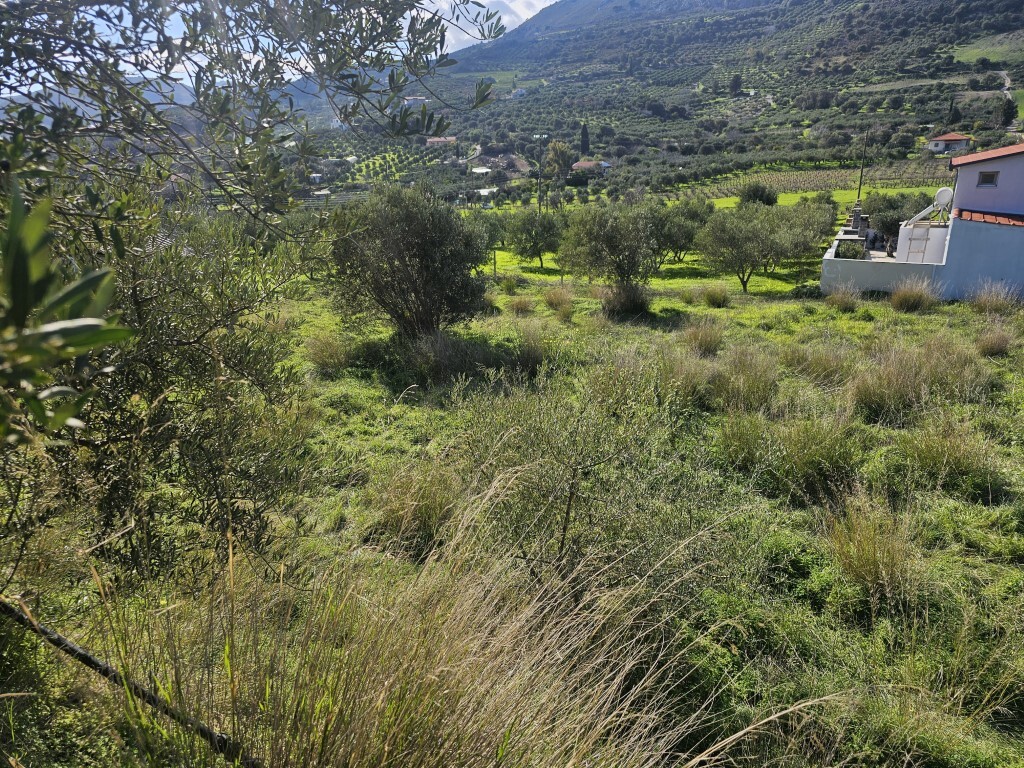 Land in Tetrachori, Heraklion Prefecture, Greece – 65413