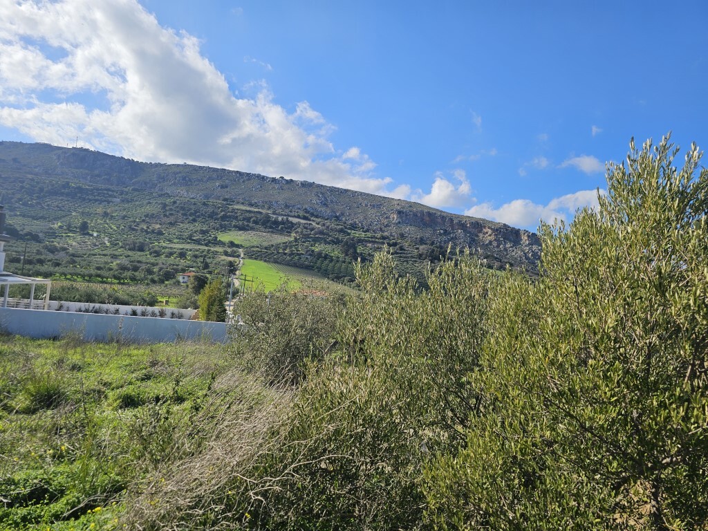 Land in Tetrachori, Heraklion Prefecture, Greece – 65413