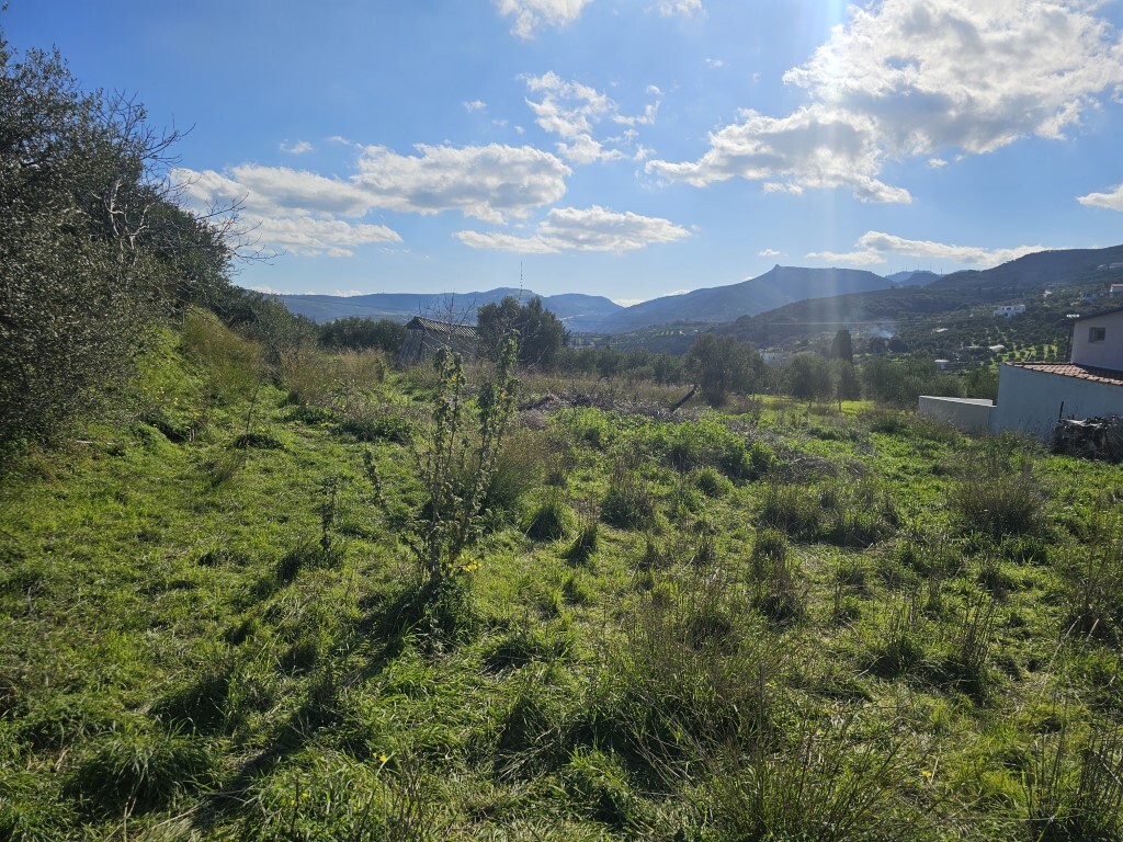 Land in Tetrachori, Heraklion Prefecture, Greece – 65413