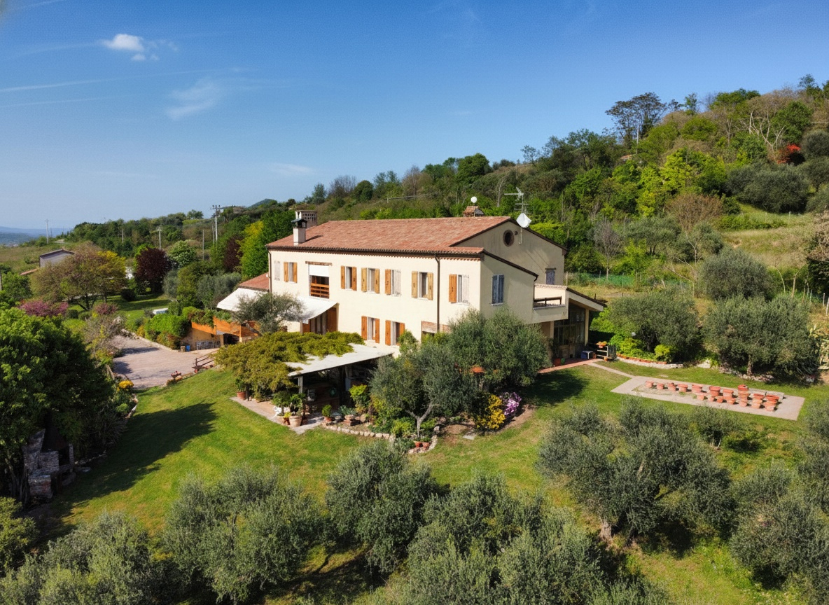 A Gift from Bacchus: a Villa in the Euganean Hills – V003255