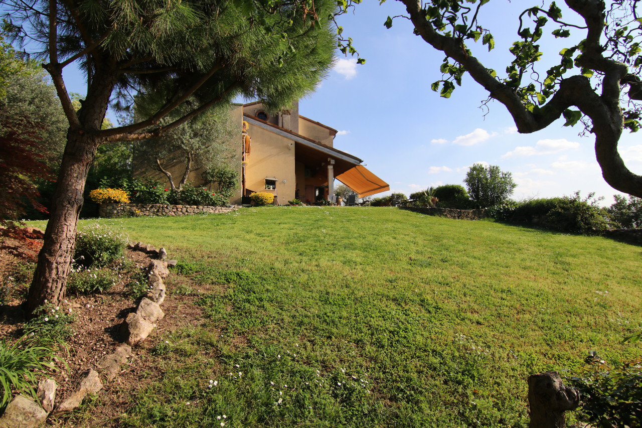 A Gift from Bacchus: a Villa in the Euganean Hills – V003255