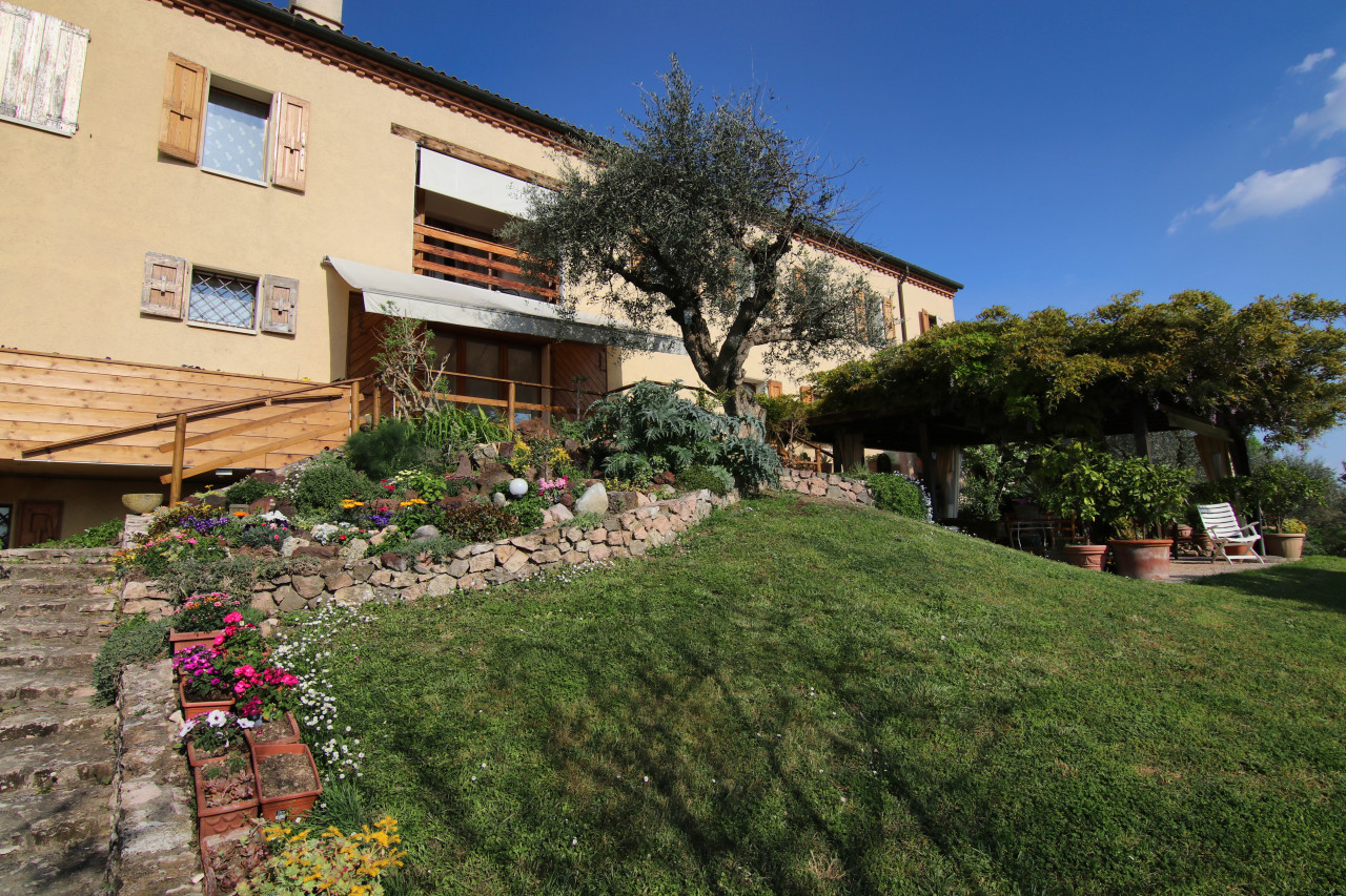A Gift from Bacchus: a Villa in the Euganean Hills – V003255