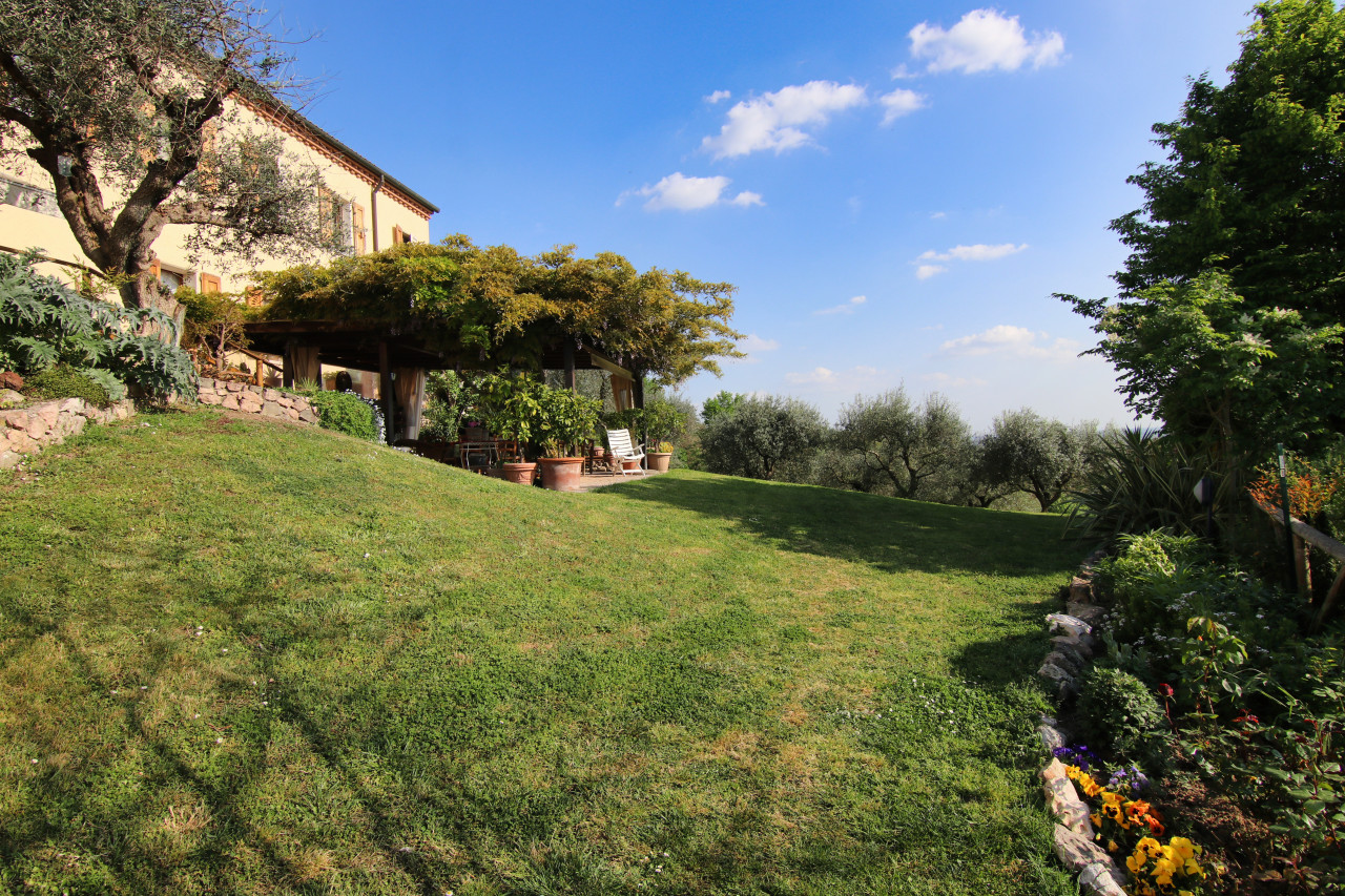 A Gift from Bacchus: a Villa in the Euganean Hills – V003255