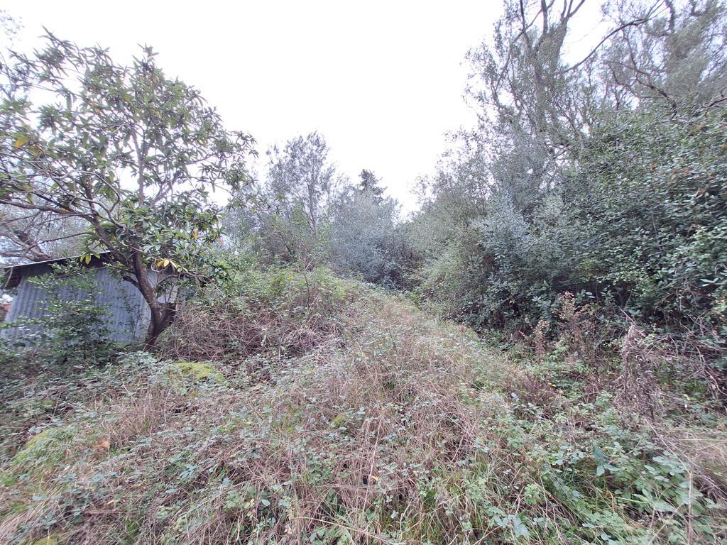 Land in Corfu, Corfu Prefecture, Greece – 65405