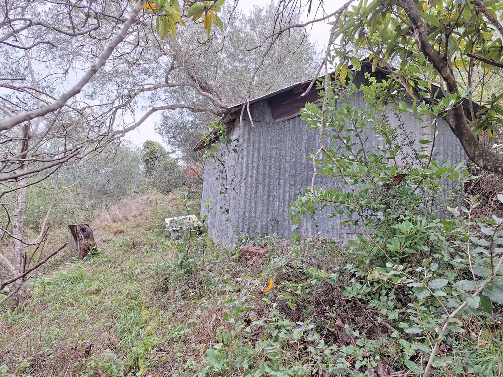 Land in Corfu, Corfu Prefecture, Greece – 65405