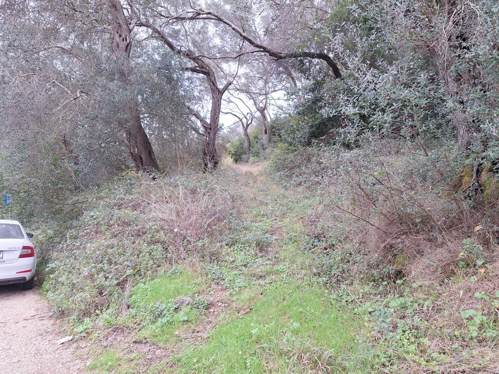 Land in Corfu, Corfu Prefecture, Greece – 65405