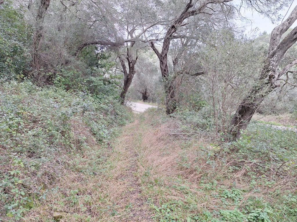 Land in Corfu, Corfu Prefecture, Greece – 65405