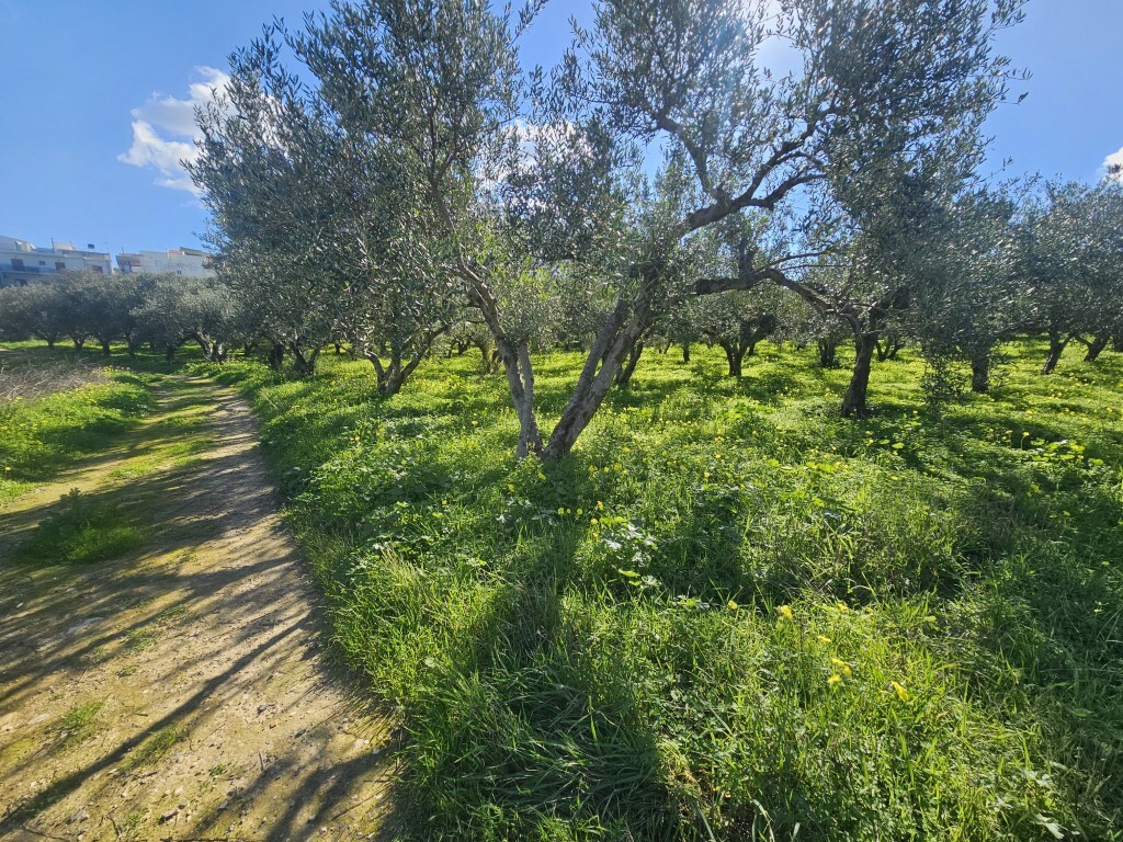 Land in Gazi, Heraklion Prefecture, Greece – 65403